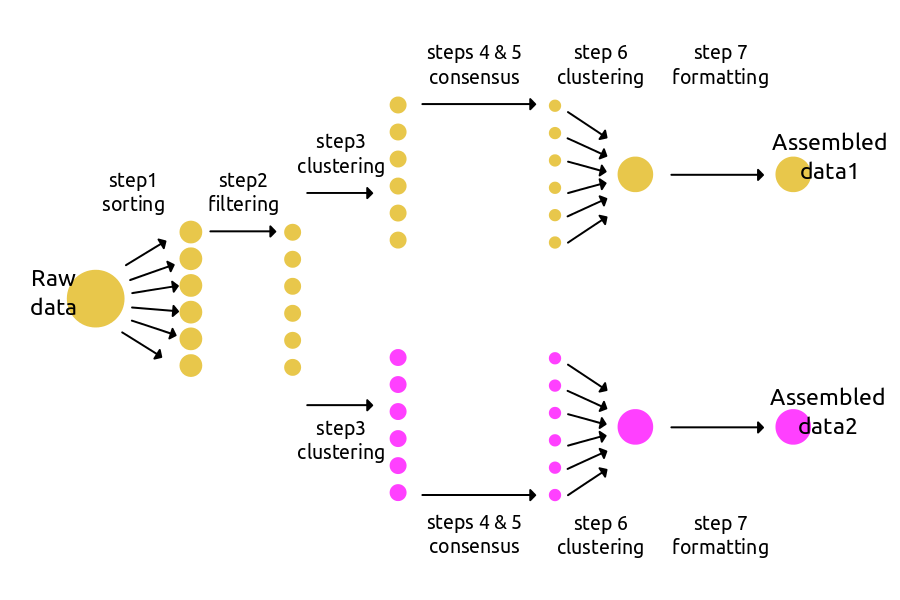 ../_images/steps_branching.png
